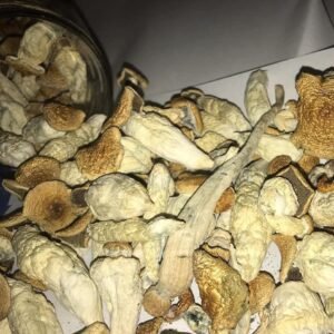 Golden Teachers ( Psilocybin Mushrooms )